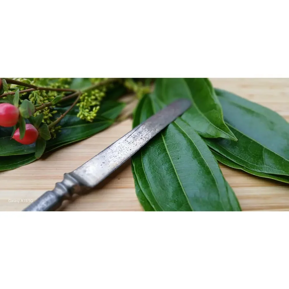 Vintage cutlery Rodgers Bro butter knife